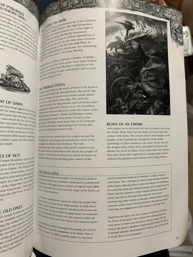 Warhammer Lizardmen Book