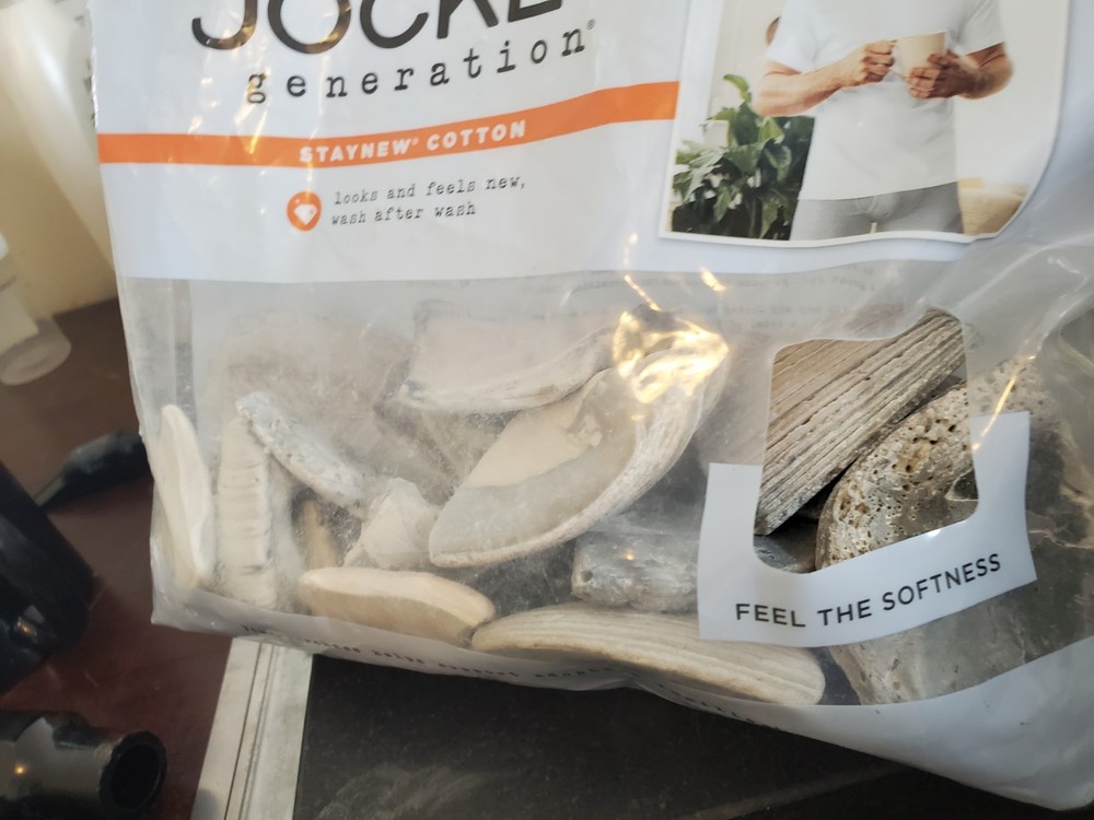 Loose Sea Shells And Fragments