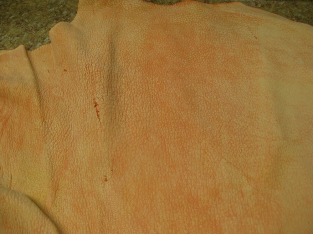 Buffed Deer Leather # 0008662 ROW 3