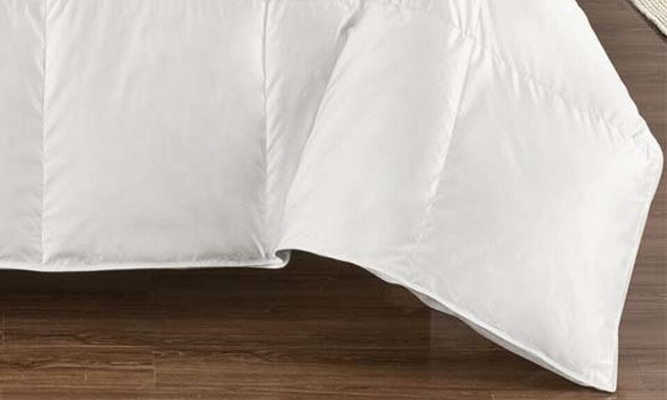 Silk Goose Down Comforter Warm Baffle Box 450 TC Off-White Solid Duvet Insert