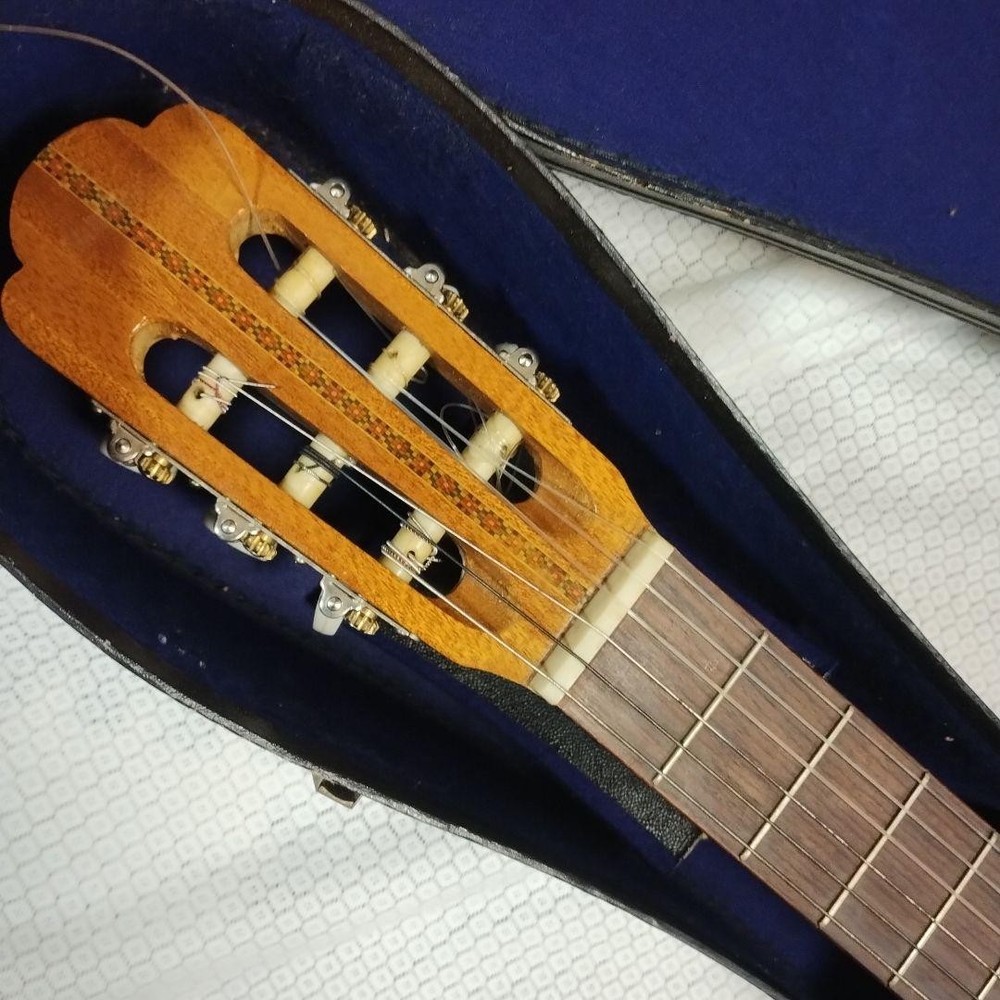 Classical Guitar with Case 6 Strings