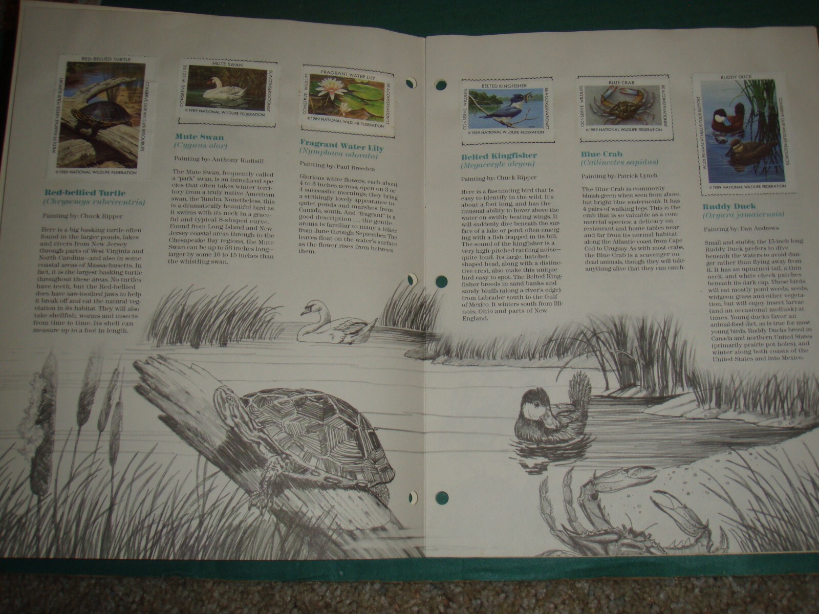 usa stamps collections lots-19th century forward on old album pages