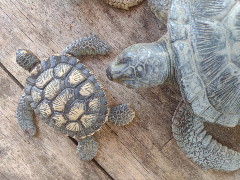 rubber turtles decor