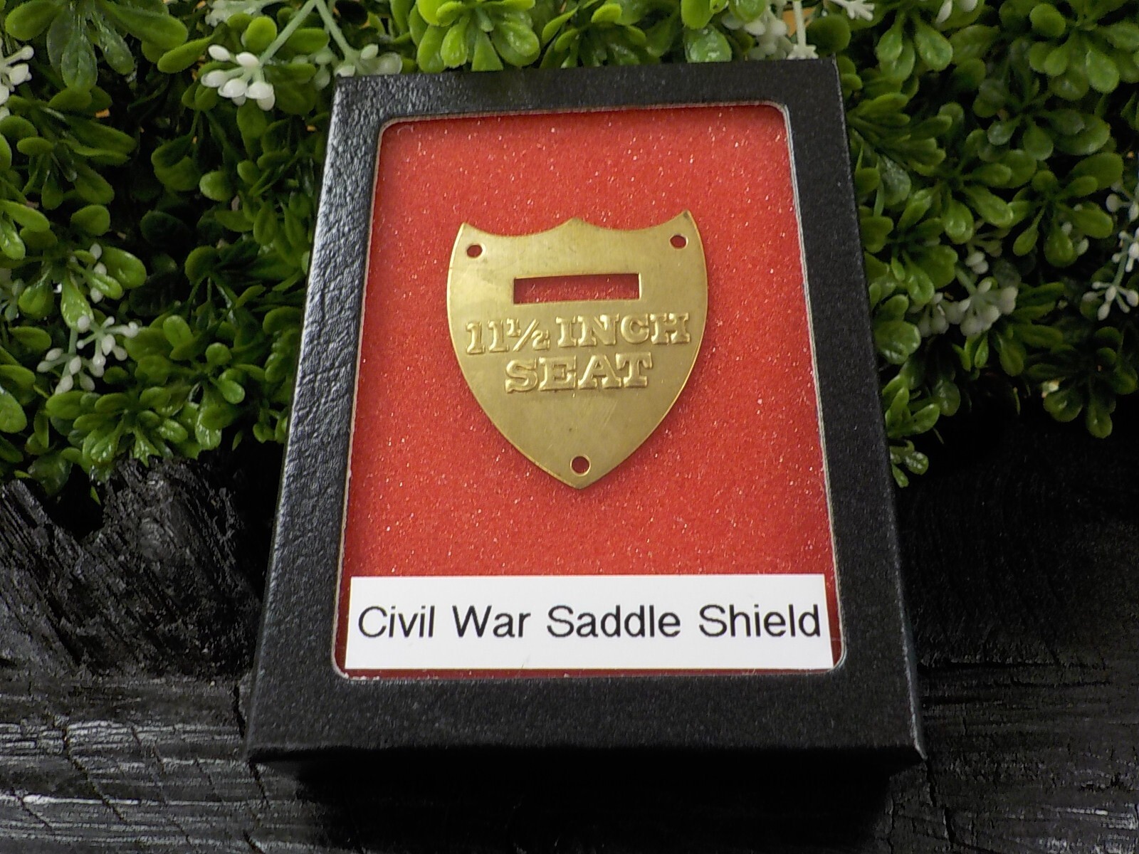 11 1/2 Inch Calvary Saddle Shield with Free Display Case for Display and Protect