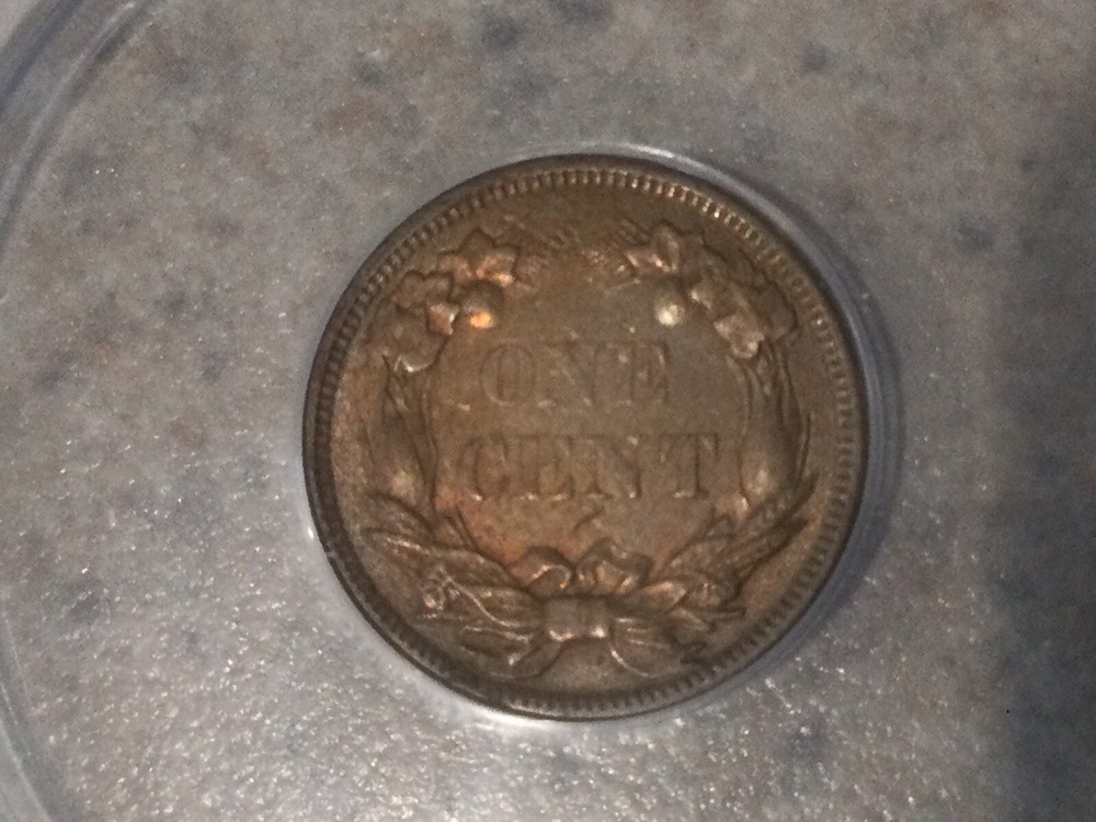 1858 1 Cent Flying Eagle Cent SM Letters ANACS EF 45 - Reverse Light Toning!