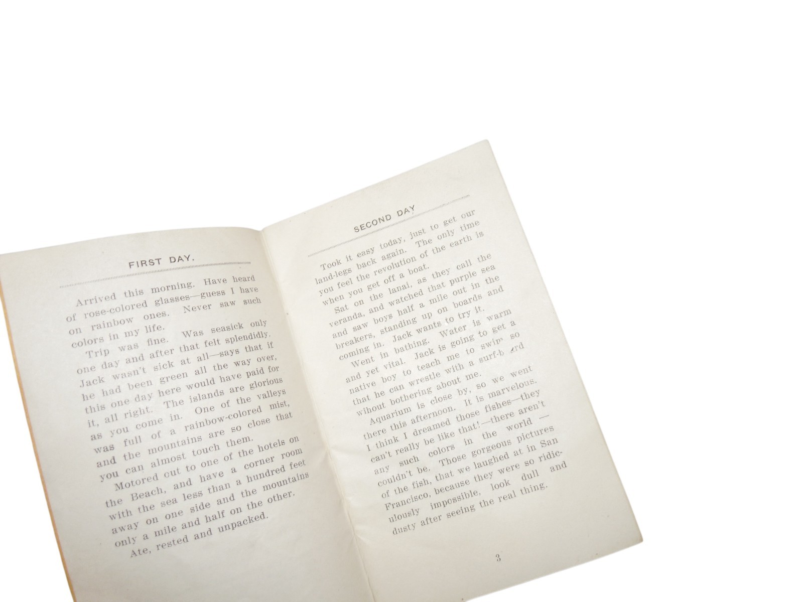 Original WWI 1919 A Month in Honolulu HAWAII Diary Book Q6