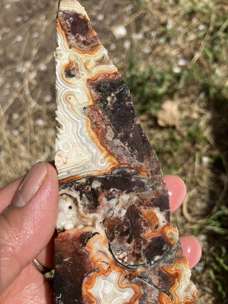 Crazy Lace Agate Slab (Mexico)
