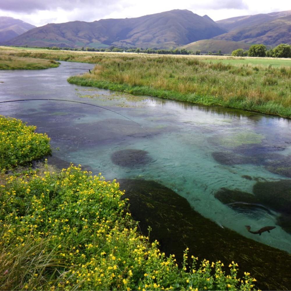 New Zealand Strike Indicator Tool Kit