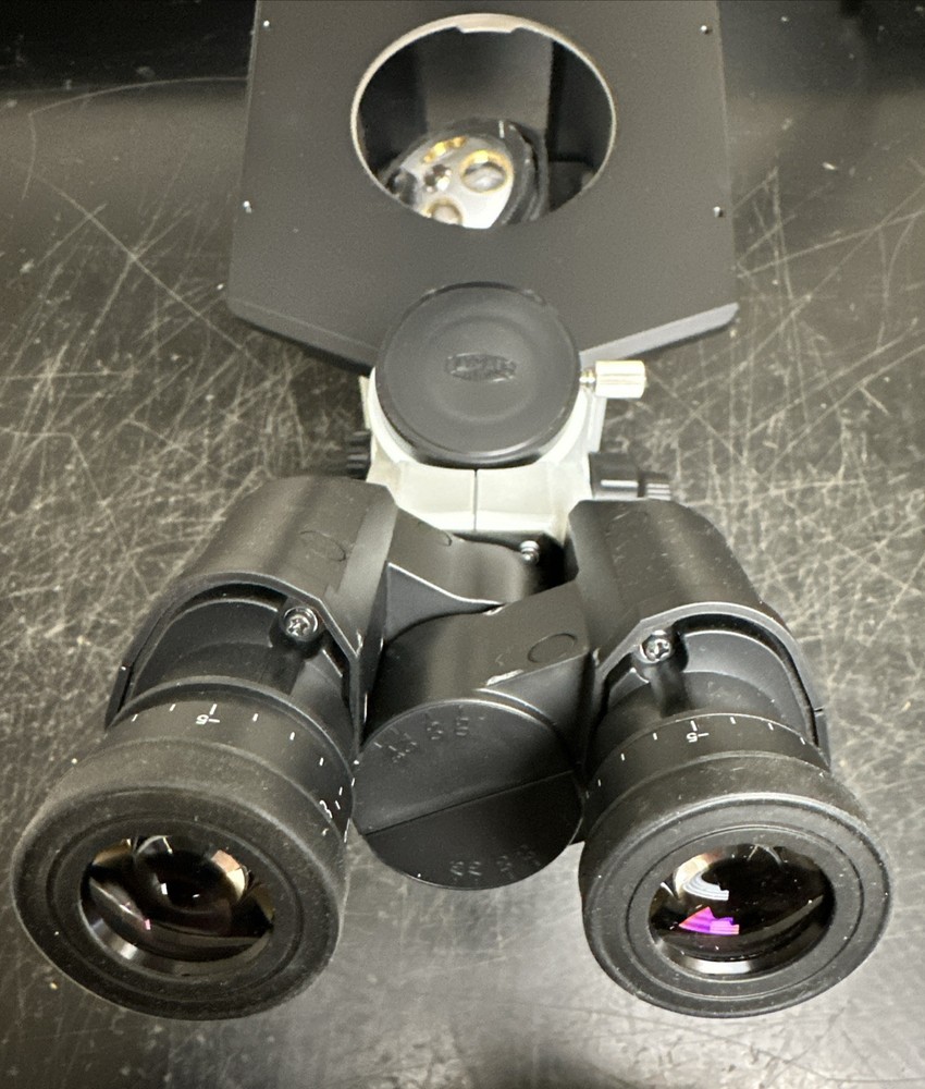 Olympus CKX53SF Inverted Microscope | No Objectives | No Power Supply