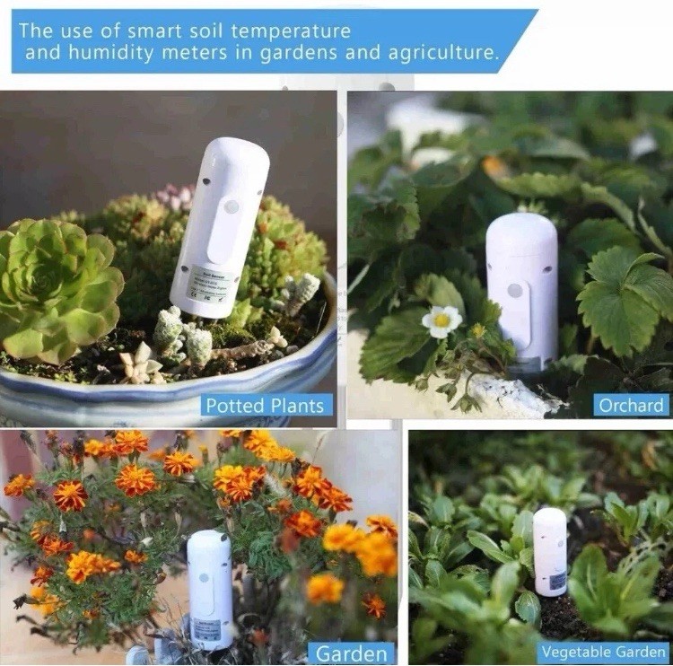 Soil Sensor GXM-01 ZigBee 3.0 Log Soil Moisture And Temperature Data Waterproof