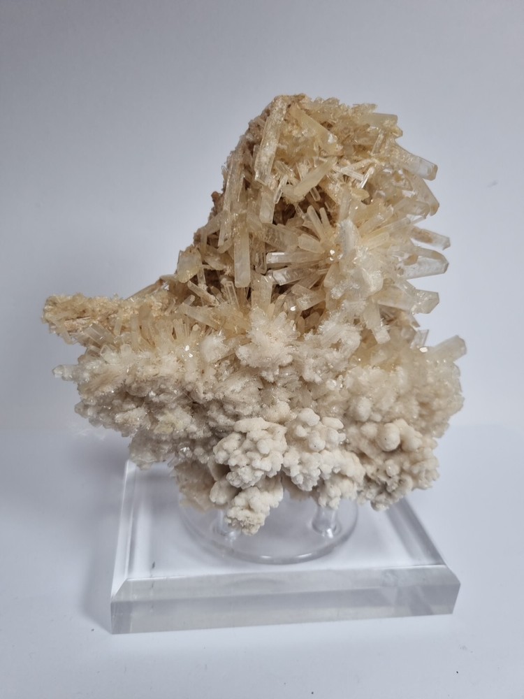 Minerals◇Chalk Australia FREE SHIPPING