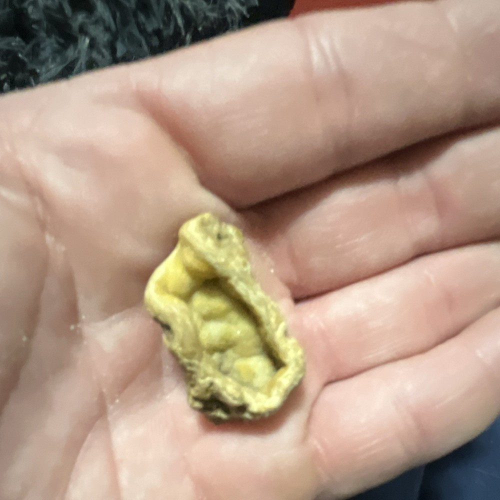 Small geode piece for display/ collection
