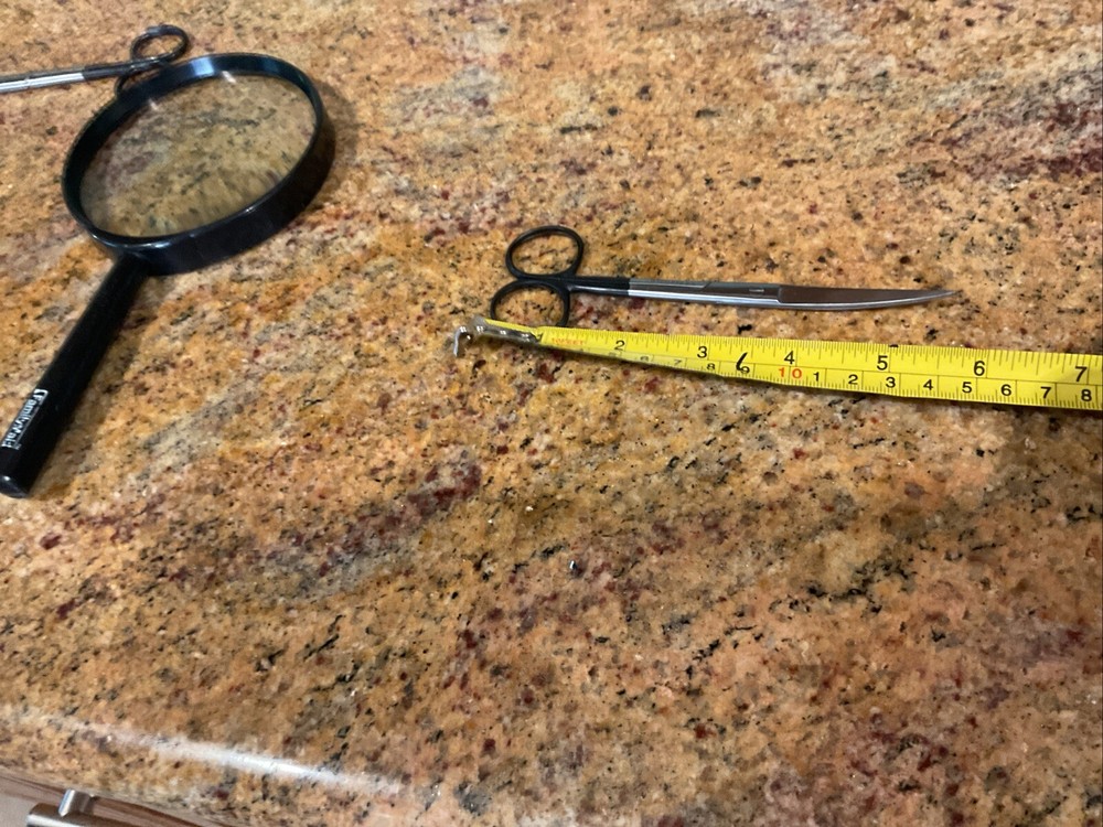 Curved Scissors  Mailed First Class