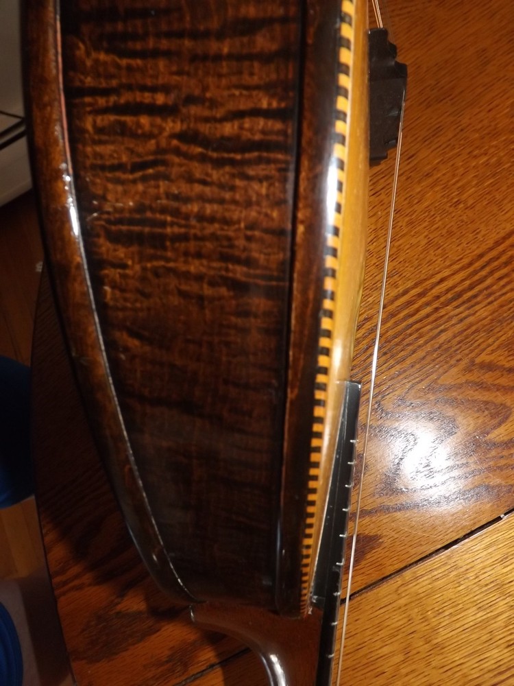 Rare Weymann Mandolute 100yrs old