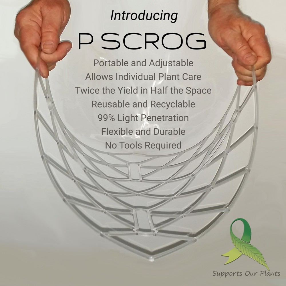 ScrOG Kit - "P SCROG Single Screen System" using a DWC bucket