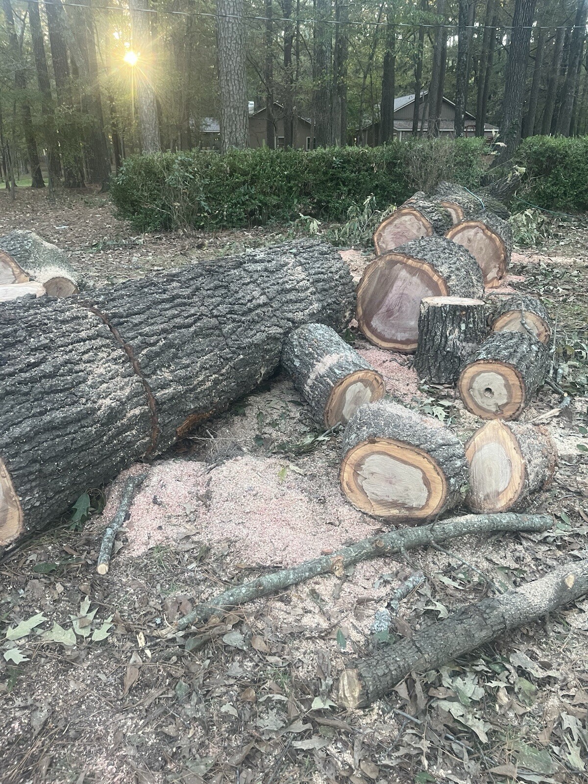 Red Oak, White Oak, And Hickory Firewood $150 Half Cord $300 Full Cord