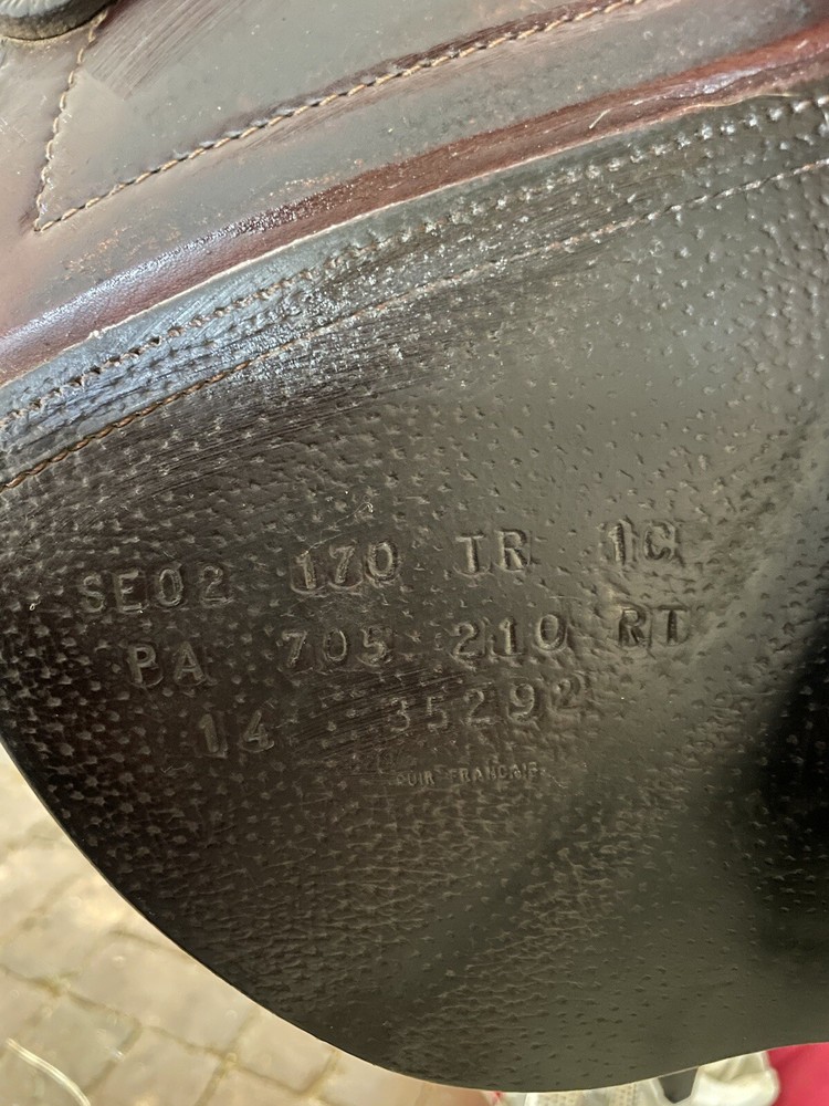 CWD SEO2 Regular Tree 2014 1C flap (Short Forward)