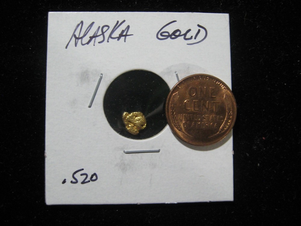 ALASKA GOLD NUGGET  .520 GRAMS