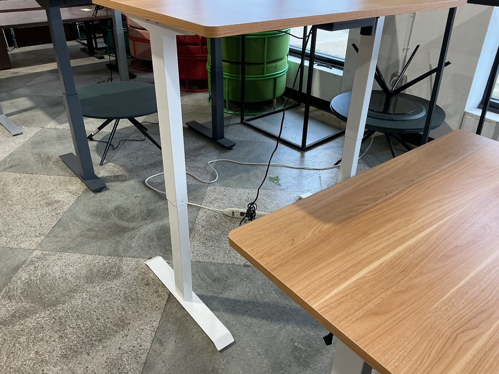 48”Wx30”D electric height Adjustable table by Flexispot Neutral top & White base