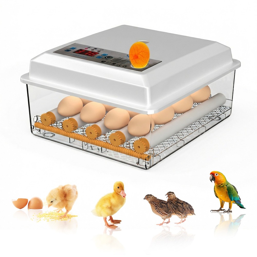 16 Eggs Incubator Digital Hatcher Temperature Control Fully Automatic Turning US