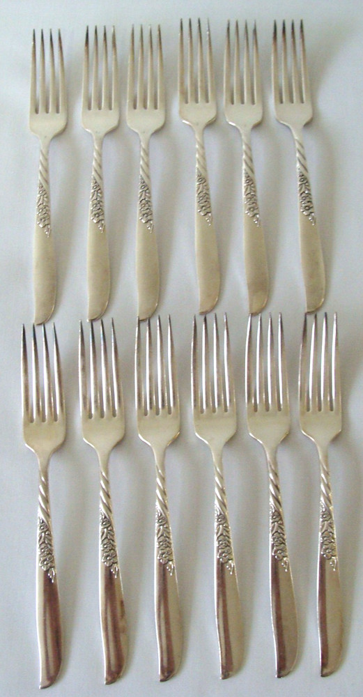 Wm. A. Rogers Silver Overlaid Oneida LTD. Wildwood Flatware Lot Of 62 Pieces