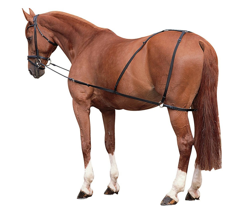 LONGIA TRAINING SYSTEM FIXED REINS WITH PANTIES COMBI TRAINER SYSTEM