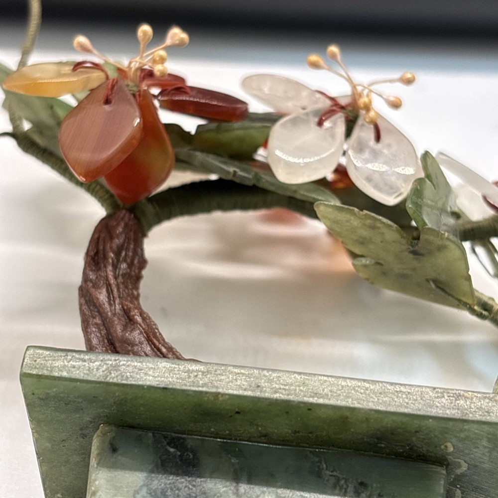 Curved Chinese Jade Tree