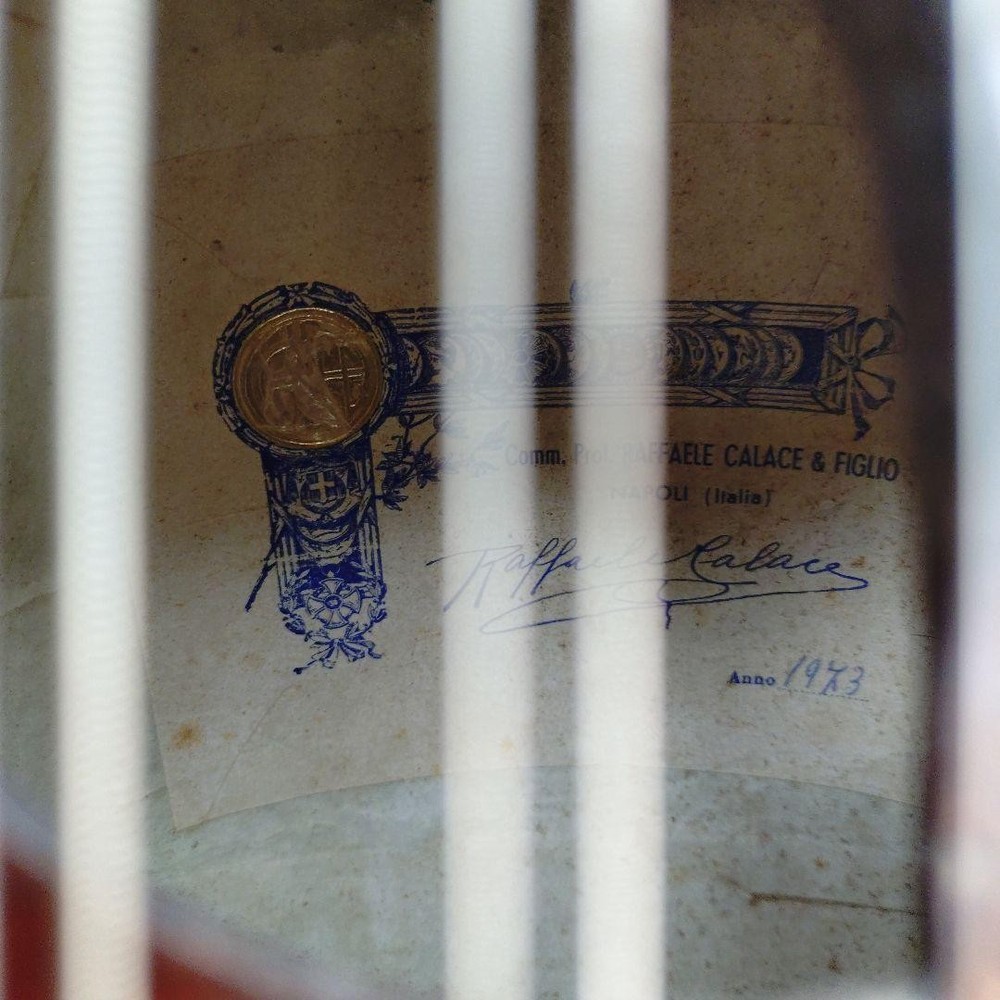 Colored Chemandolin 8 strings