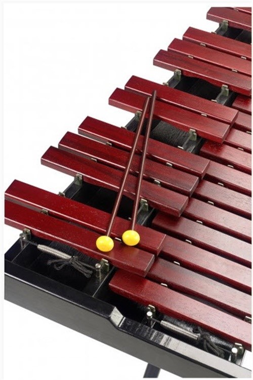 Professional 37 Note Xylophone Set w/ Stand & Bag