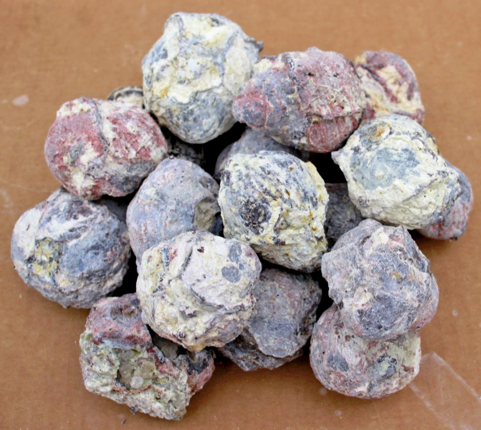 One Pound, 5-7 Whole Dugway Geodes • 1.5" - 2.0" diam.