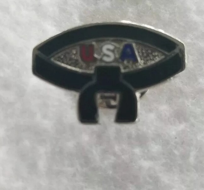 USA Lapel Pin. New