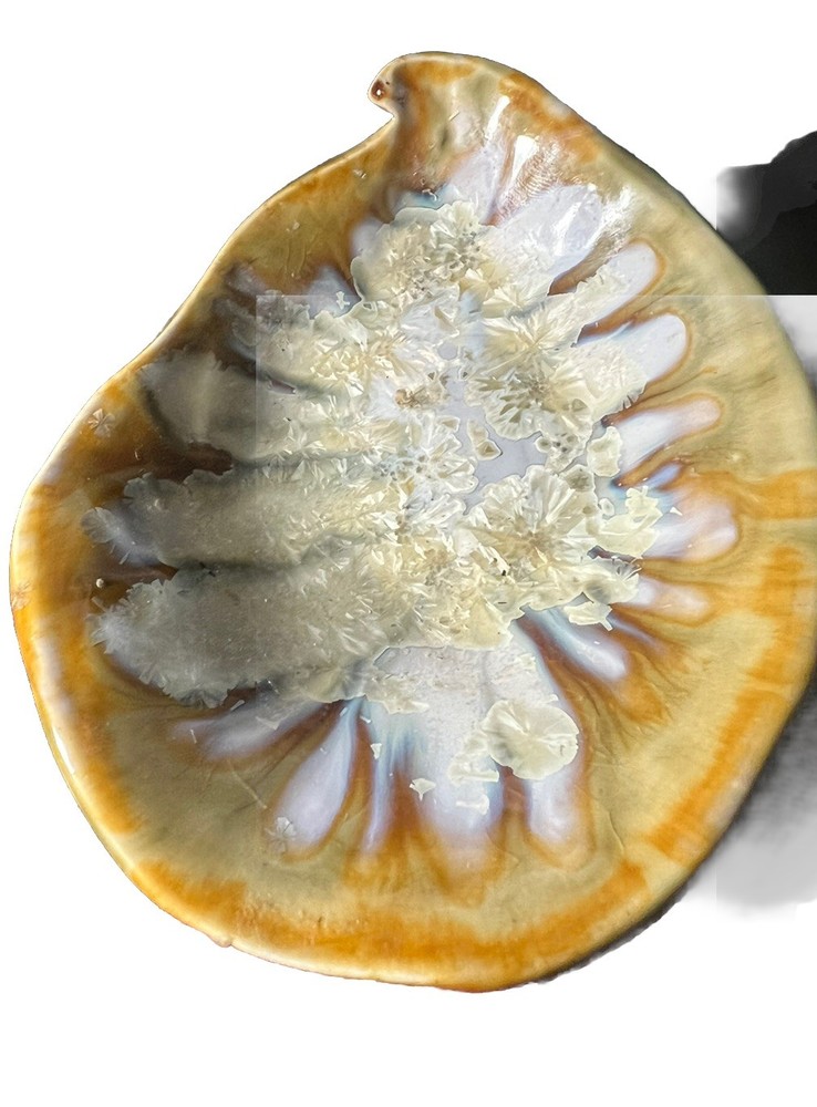 oyster abalone Trinket dish