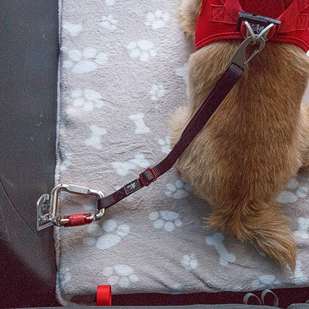 Car Safety Belt 60cm