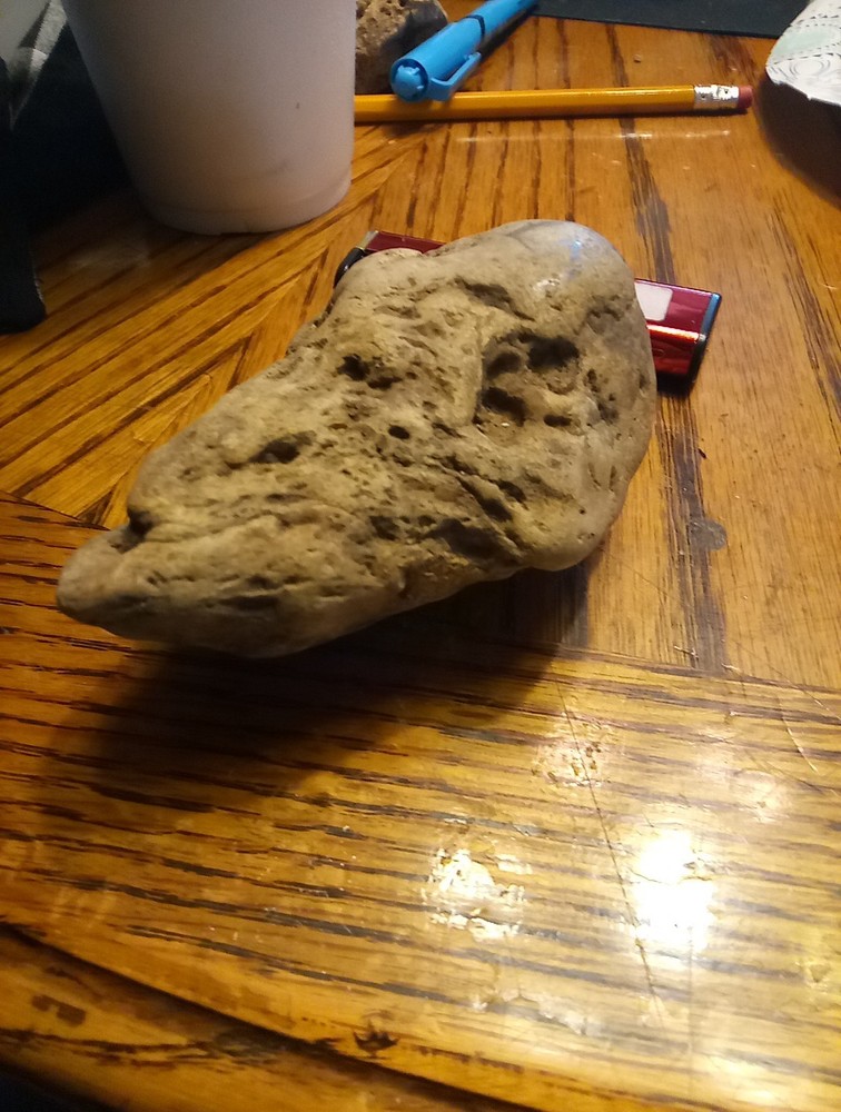 Fossils