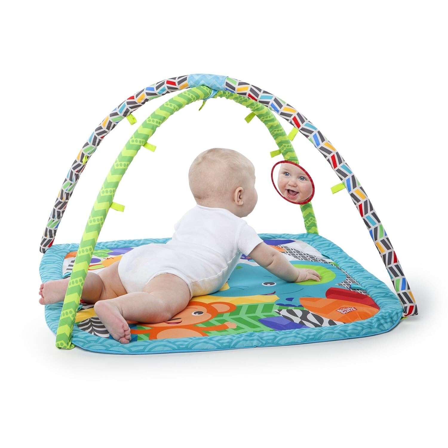 Zippy Zoo Activity Gym