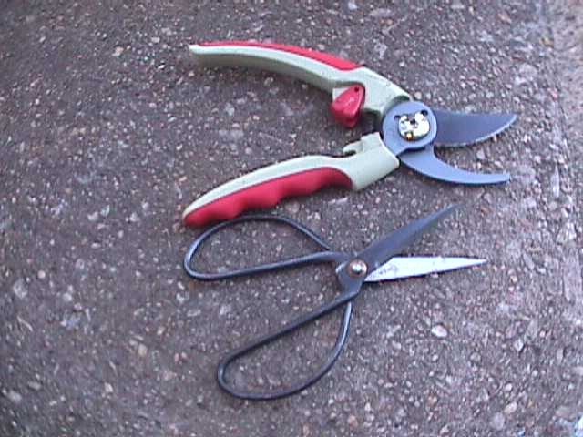 Flower Pruning Scissors Shears Clipper Snips