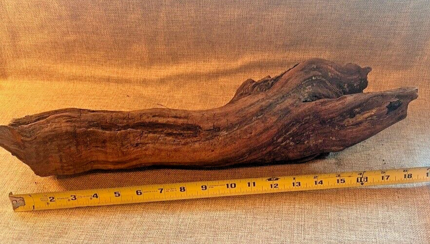 18" x 5" Redwood Driftwood Organic Craft Aquarium Rustic Boho Natural Wood