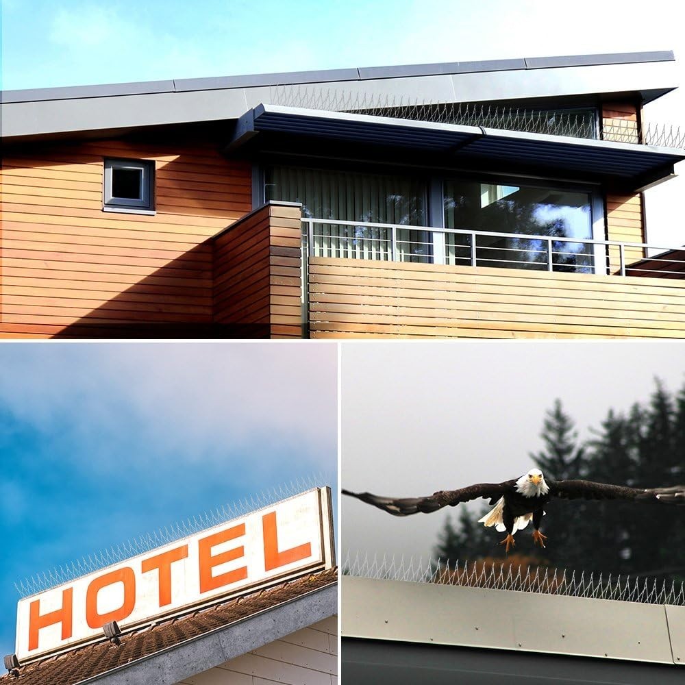Stainless Steel Bird Spikes - 10ft Coverage