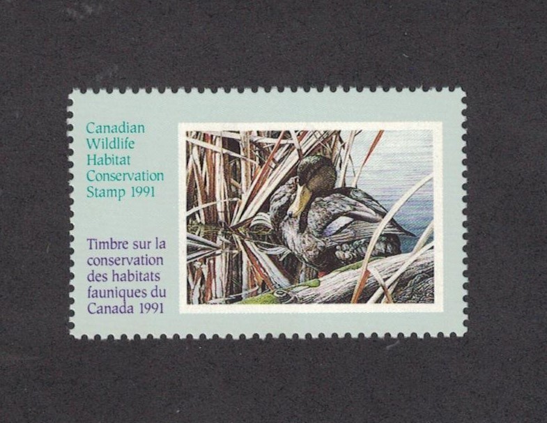 CD7 - Canada  Duck Stamp. MNH. OG. Single.  #02 CD7