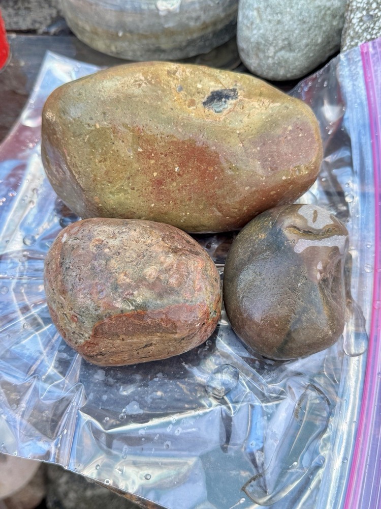 jasper rough lbs Polychrome 7 Lbs
