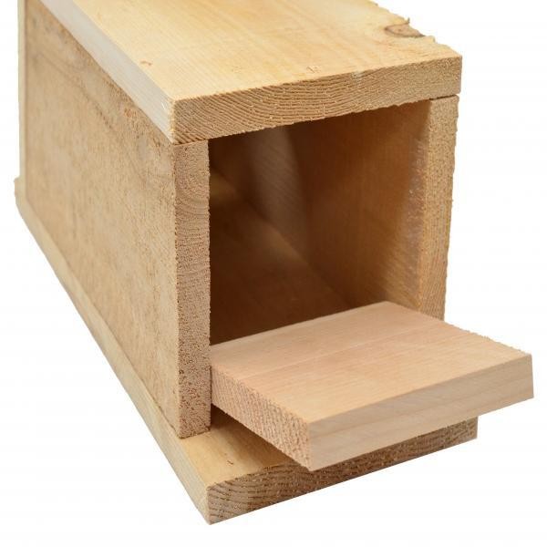 Bluebird House Kit, Cedar, DIY
