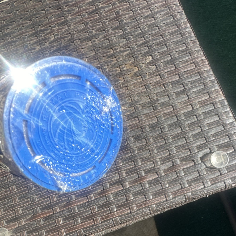 Royal Prestige Shower Filter￼