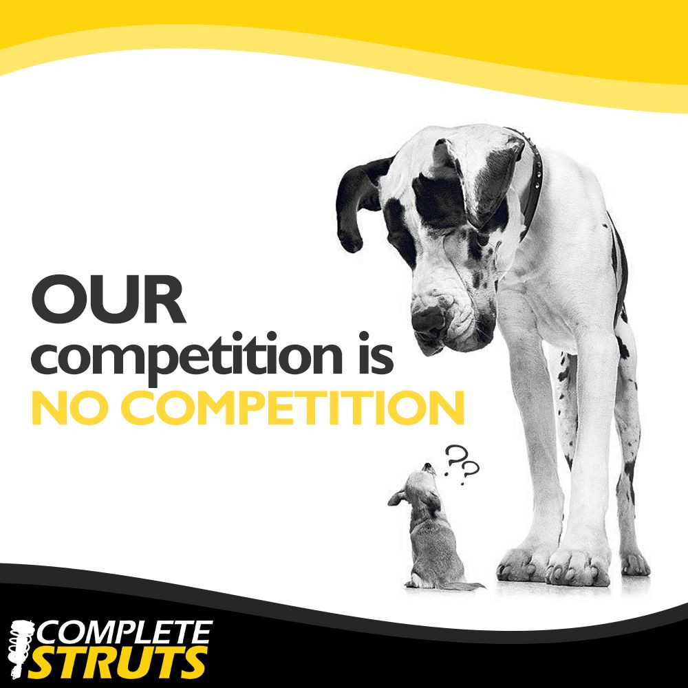 1994-2007 Ford Taurus Rear Pair Complete Struts & Coil Spring Assemblies