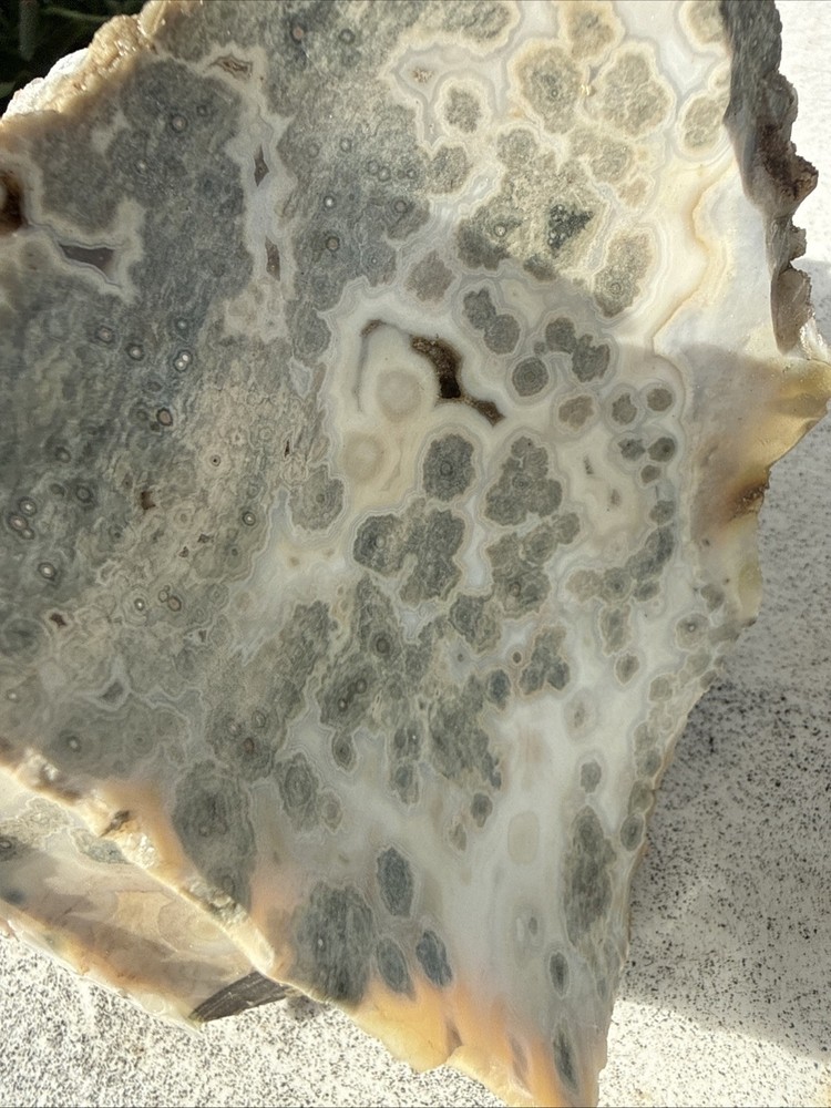 Carved Ruby Buhda On Ocean Jasper Faced Rough, Incredible Orbs Red Crystals 6”