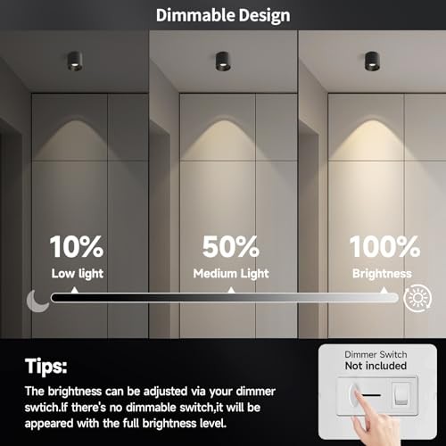 Modern Ceiling Spot Light Fixture, Dimmable Flush Mount Light 4.72'' Black