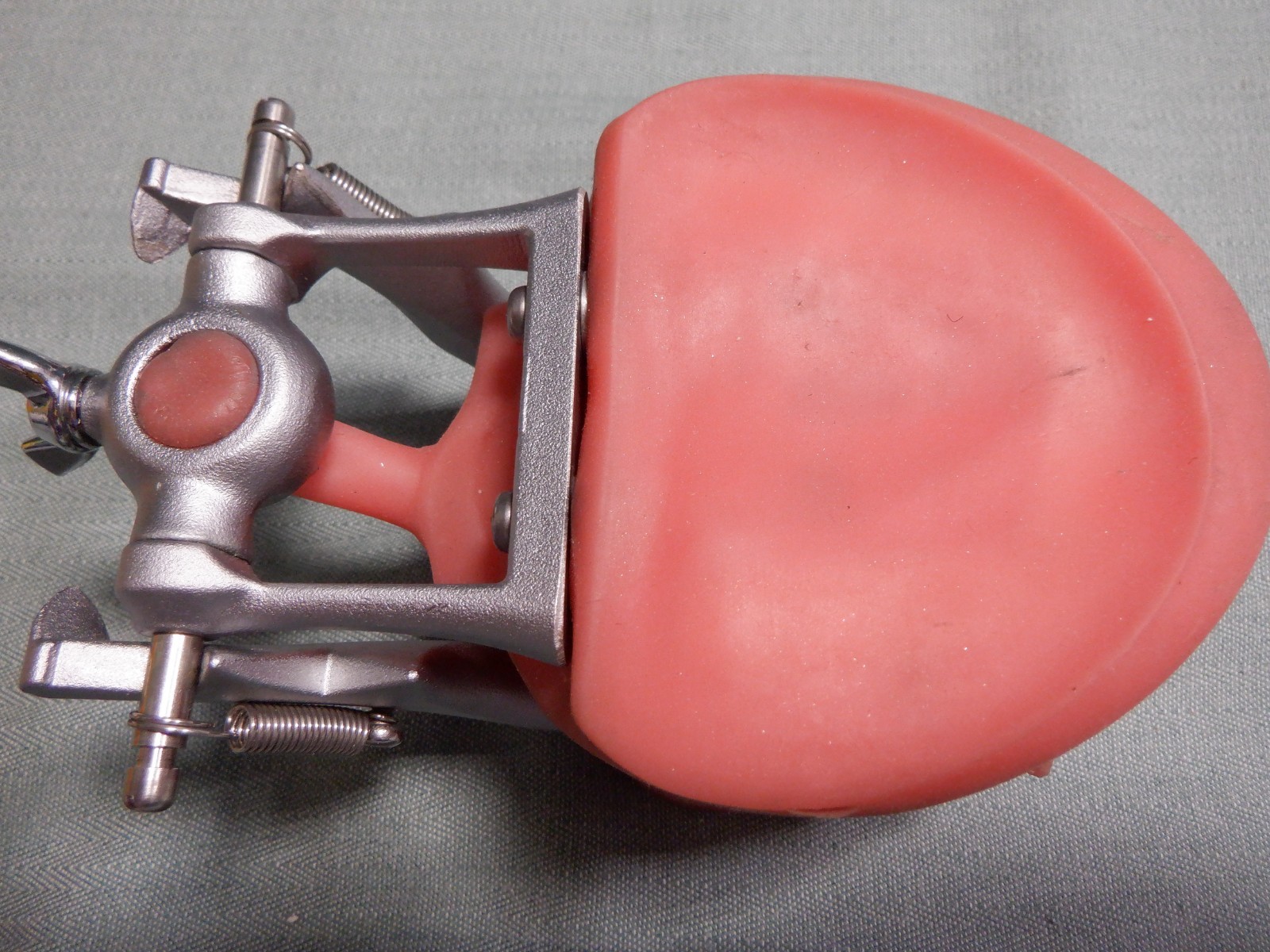 Nissin Typodont Dental Teeth