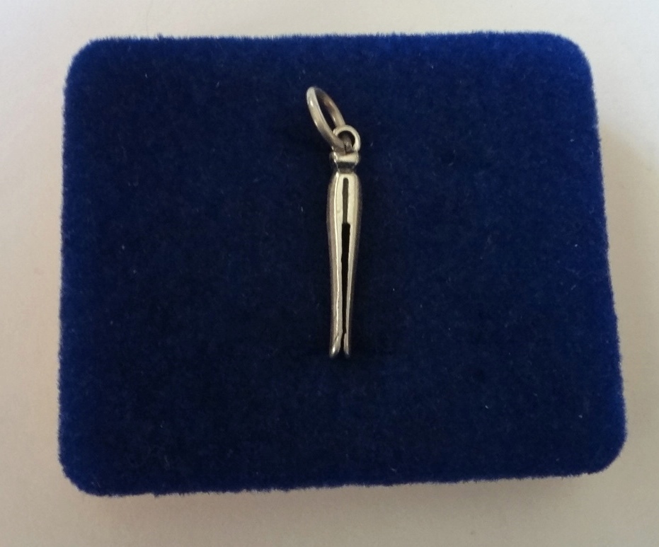 Sterling Silver 3D 22x2mm Fashion Laundry Clothes Pin Charm!