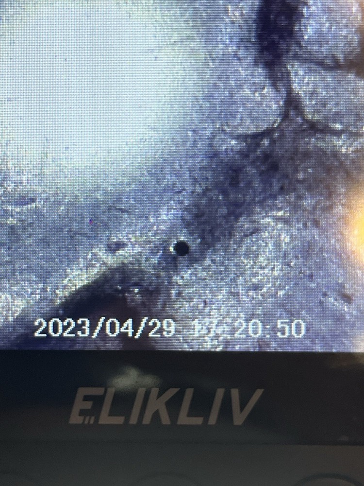 1931D Mercury Dime Error Coin! Die Cracks, In COD We Trust! 🫡