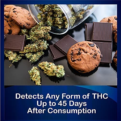 5 Pack Marijuana Test Dip Cards - Rapid Cannabinoid Testing, Easy Use, Instructi