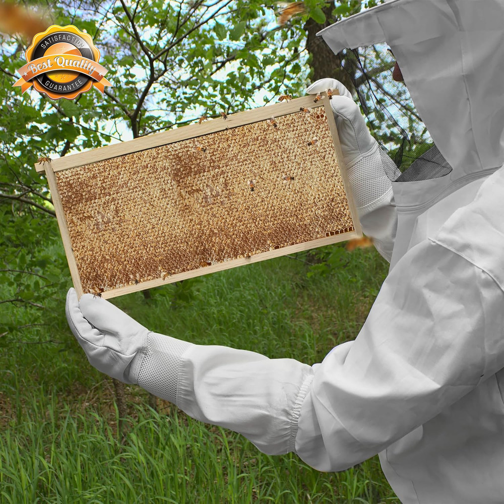 10 Deep Beehive Frame Kit Foundations for Langstroth Beekeeping 70